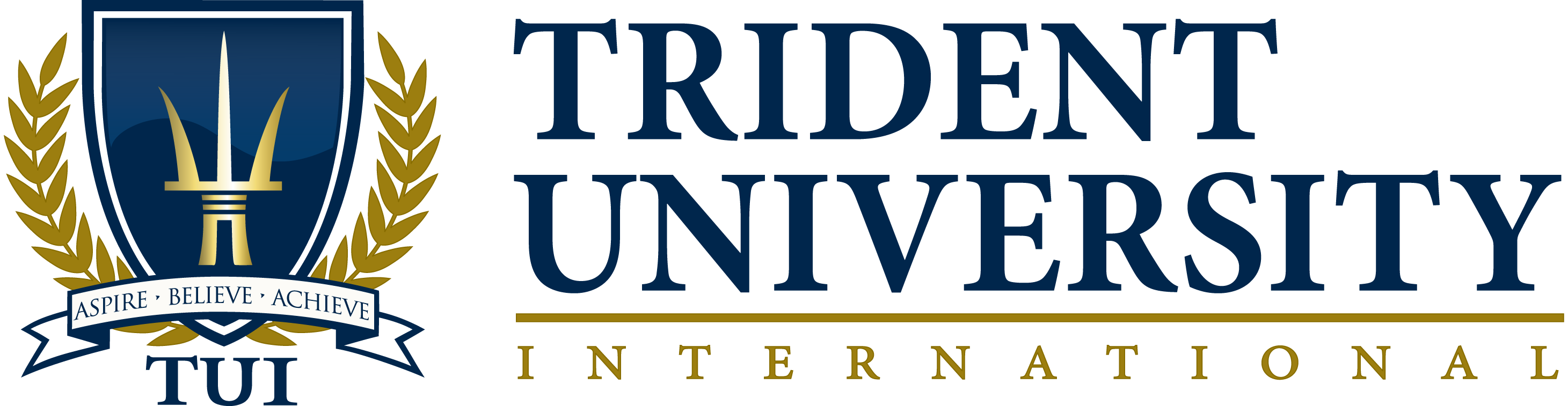 Trident University Monroe Capital LLC